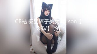 [高清中文字幕] SDDE-567 痴漢偶像女團的小姐姐們一邊被抽插一邊努力練習和接待粉絲