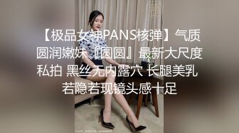 【极品女神PANS核弹】气质圆润嫩妹『圆圆』最新大尺度私拍 黑丝无内露穴 长腿美乳 若隐若现镜头感十足