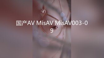 国产AV MisAV MisAV003-09